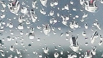 Winter Weather California