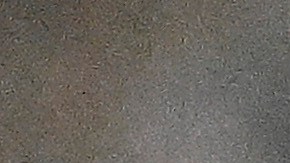 El jugador llega proveniente de Los Ángeles Galaxy para apoyar al Rebaño Sagrado.