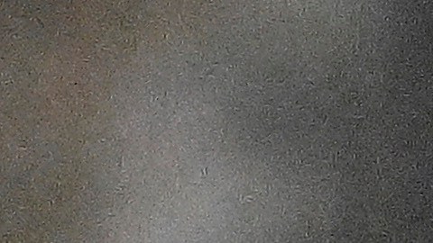 El jugador llega proveniente de Los Ángeles Galaxy para apoyar al Rebaño Sagrado.