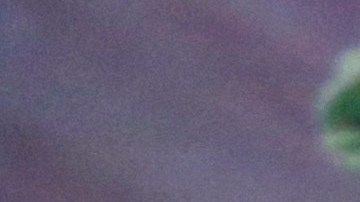 Los trámites migratorios pueden ser complejos.