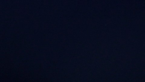 Vinicius, la gran figura de Brasil para esta Copa América 2024.