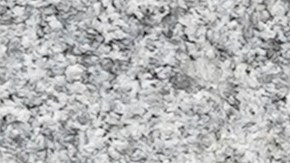 Los Lobos han surgido como la principal organización narcotraficante en Ecuador, según el comunicado del Tesoro.