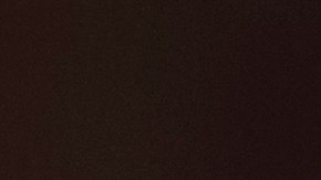 Robert Downey Jr. posando