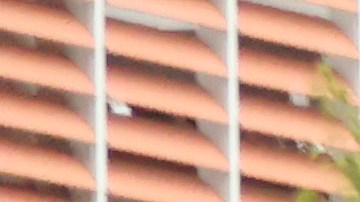 Aficionados al tenis caminan en el Centro Nacional de Tenis Billie Jean King.