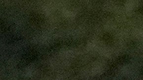 Veljko Paunovic dirigiendo durante un encuentro de Chivas de Guadalajara.