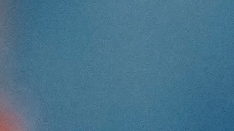 Neymar Jr. aún se encuentra recuperándose de su lesión.