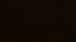 Parlamento de Ecuador negó que tenga un plan para declarar “loco” al presidente Daniel Noboa