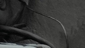 Criminalidad en Ecuador: ¿por qué los pandilleros aumentan el uso de armas impresas en 3D?