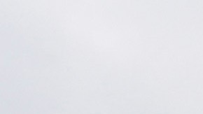 Kamala Harris, sostuvo que la "oferta" rusa para sentarse con Ucrania no busca una negociación, sino una rendición de este último país.