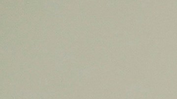 46,241 electores de NYC acudieron a las urnas durante el lapso del voto anticipado.