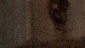 Trump y Mike Johnson se reunieron en Mar-a-Lago para planificar la agenda republicana del 2025