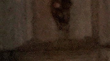 Trump y Mike Johnson se reunieron en Mar-a-Lago para planificar la agenda republicana del 2025