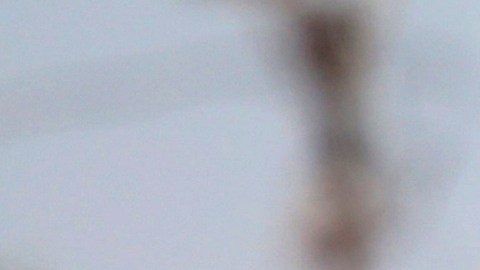 La policía de Brasil espera poder hacerle frente al crimen organizado.
