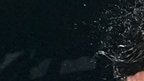 El boxeador Devin Haney fue colocado como campeón en receso del CMB.