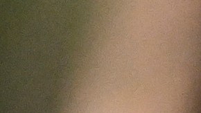 Sydney Sweeney es una de las actrices más populares del momento.