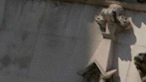 Assange está en prisión preventiva en la cárcel londinense de alta seguridad de Belmarsh desde que Washington pidió su detención y entrega en abril de 2019.