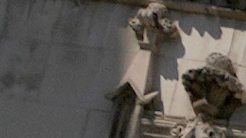 Assange está en prisión preventiva en la cárcel londinense de alta seguridad de Belmarsh desde que Washington pidió su detención y entrega en abril de 2019.