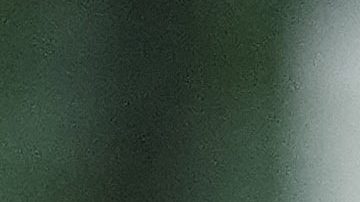 Ecuador completó su lista de concentrados para la Copa América con la llegada de Piero Hincapié