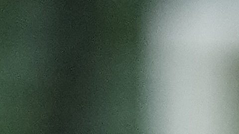 Ecuador completó su lista de concentrados para la Copa América con la llegada de Piero Hincapié