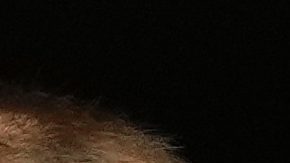 Laporta sobre el fichaje de Mbappé por el Real Madrid: "Me gusta más la filosofía que tenemos aquí"