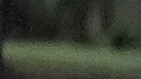 El entrenador mexicano fue destituido por el mal desempeño del equipo en la MLS.