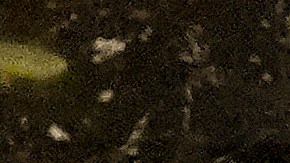 Fiscal general de Wisconsin presentó cargos contra abogados por afirmar falsa victoria de Trump en 2020