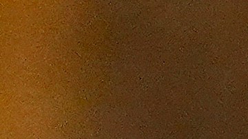 Donald Trump reconoció el respaldo que recibe de hispanos en Estados Unidos: “Son buena gente”