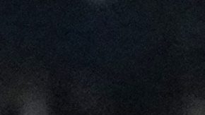 Vinícius el mejor de la Champions League: El brasileño fue el más destacado en el título del Real Madrid