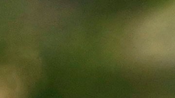 El presidente Joe Biden junto a su hijo, Hunter Biden.