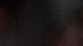 Islam Makhachev celebra luego de ganar el UFC 302.