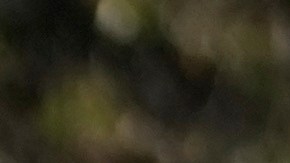 Los votantes hacen fila afuera de un colegio electoral durante las elecciones generales de México.