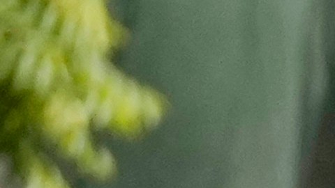 Lebanon Mideast Tensions