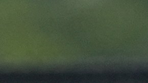 Argentina enfrenta a Perú en el último partido de la fase de grupos de la Copa América.