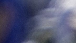 Jugadores de Estados Unidos celebran tras ganarle a Pakistán.