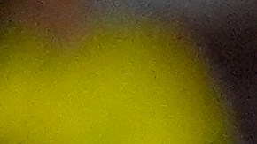 Brasil debuta en la Copa América ante Costa Rica.