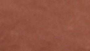 Carlos Alcaraz celebra tras ganar el Roland Garros.