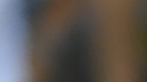 El argentino Ángel Di María celebra tras anotar durante la primera mitad de un partido amistoso de fútbol internacional contra Ecuador, el domingo 9 de junio de 2024, en Chicago. (Foto AP/Paul Beaty).