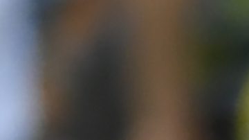 El argentino Ángel Di María celebra tras anotar durante la primera mitad de un partido amistoso de fútbol internacional contra Ecuador, el domingo 9 de junio de 2024, en Chicago. (Foto AP/Paul Beaty).