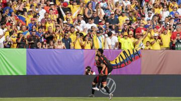 Néstor Lorenzo definió los 26 convocados de la selección Colombia para la Copa América