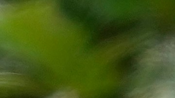 APTOPIX Hunter Biden