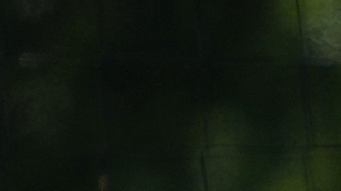 Jugadores de Inglaterra en un entrenamiento previo a la Euro 2024.