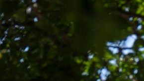 La Corte Suprema eliminó una prohibición sobre armas de 2017.