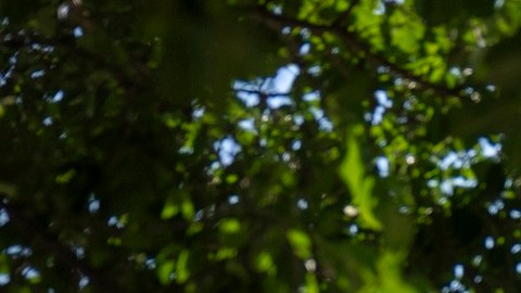 La Corte Suprema eliminó una prohibición sobre armas de 2017.