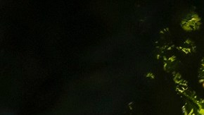 La Corte Suprema tomó una decisión sobre notificaciones para procesos de deportación.