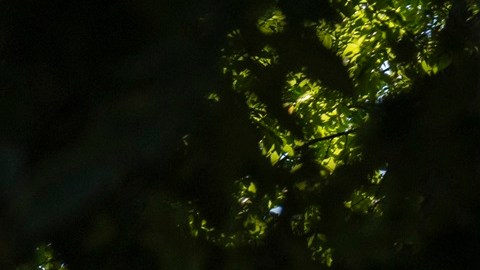 La Corte Suprema tomó una decisión sobre notificaciones para procesos de deportación.
