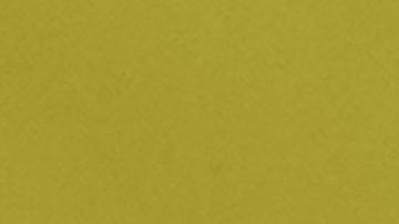 Locura por Cristiano: Fanáticos invadieron el entrenamiento de Portugal en Alemania [Video]