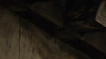 Vista del río Sena y la Torre Eiffel.