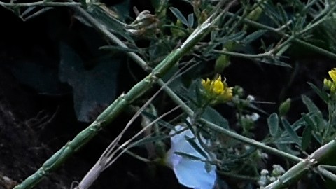 Militares ucranianos de la 141.a brigada toman posición en una trinchera en la línea del frente en la región de Zaporizhzhia, Ucrania.