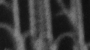 Falleció Celeste Arantes, madre de Pelé, a los 101 años