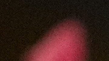 Fans chilenos en la Copa América 2024. (AP Photo/Tony Gutierrez).